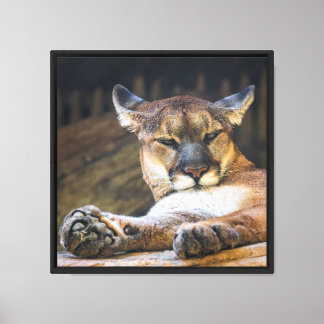 Œuvre d'art murale Lion de montagne | Impression d
