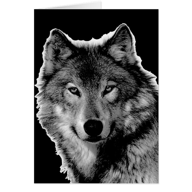 Oeuvre de Loup noir et blanc (Devant)