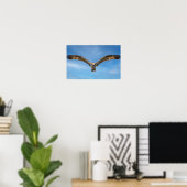 Œuvre murale Balbuzard en vol | Impression de rapa (Bureau à domicile)