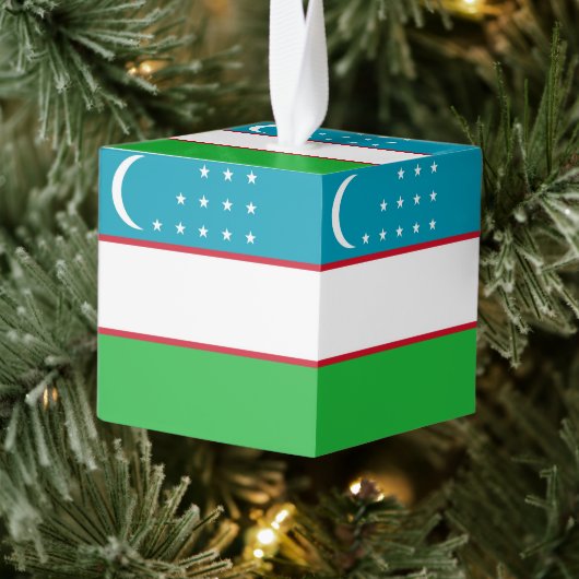 Oezbekistan vlag kubus ornament (Boom)