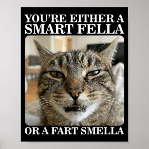 Of een slimme vent of een scheet ruikende grappige poster