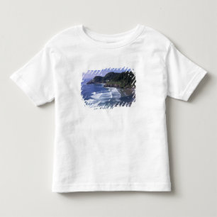 OF, Oregon kust, Heceta Head Lighthouse, op Kinder Shirts