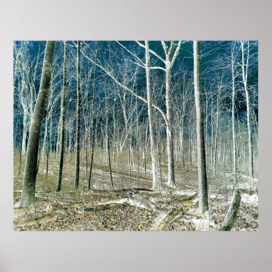 Off the Path version 1 Poster (Voorkant)