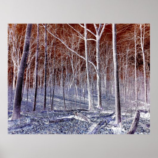 Off the Path version 2 Poster (Voorkant)