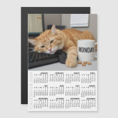 Office Cat Fridge Calendar 2026, Monday Motivation (Voorkant / Achterkant)
