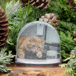 Office Monday, Fun Cats meme Snow Globe Sneeuwbol
