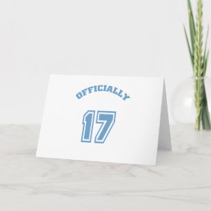 Officieel 17 kaart