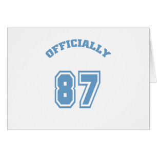 Officieel 87