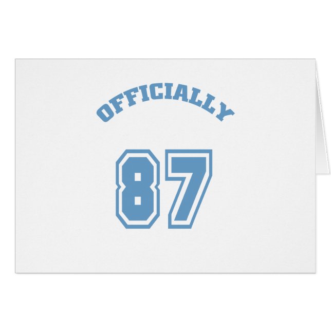 Officieel 87 (Voorkant Horizontaal)