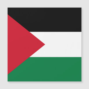 officieel de staatsvlag van Palestina