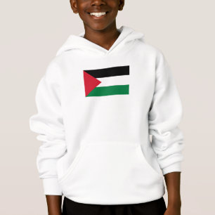 officieel de staatsvlag van Palestina