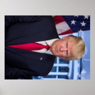 Officieel presidentieel portret van Donald Trump Poster