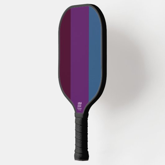 Officiële Amerikaanse Pickleball-gecertificeerd pe Pickleball Paddle (Links)