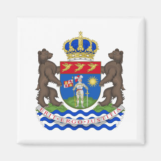 officiële gaplamagneet magneet