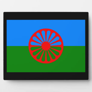 Officiële Romaanse zigeunervlag Fotoplaat