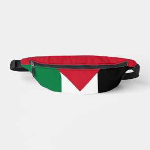 officiellement le drapeau de l'État de Palestine