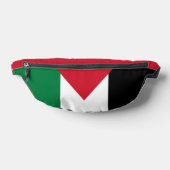 officiellement le drapeau de l'État de Palestine (Poser)
