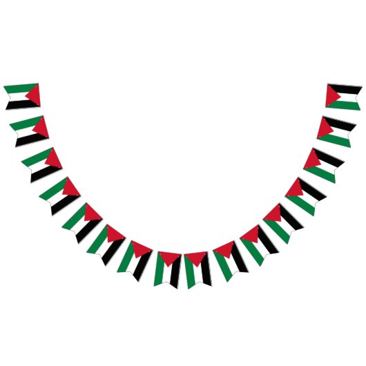 officiellement le drapeau de l'État de Palestine (Tout)