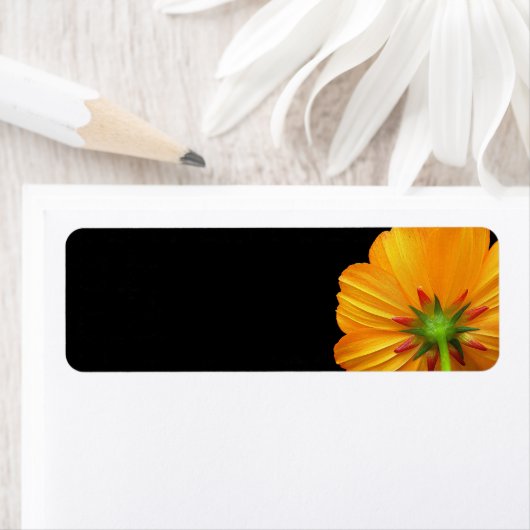 Offset Cosmos Return Address Labels (Insitu)