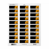 Offset Cosmos Return Address Labels (Full Sheet)