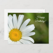 Offset Daisy Bonne Carte postale Anniversaire (Devant / Derrière)