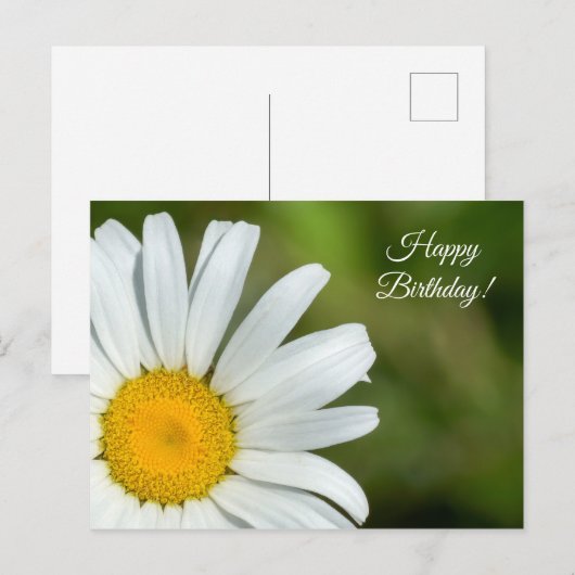 Offset Daisy Bonne Carte postale Anniversaire (Devant / Derrière)