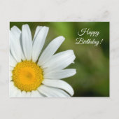 Offset Daisy Bonne Carte postale Anniversaire (Devant)