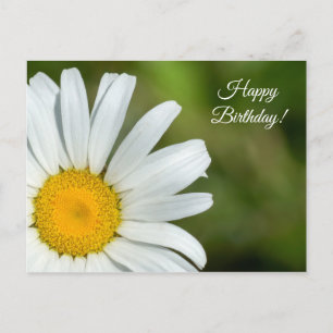 Offset Daisy Happy Birthday Briefkaart