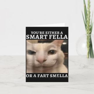 Ofwel Een Slimme Vent Of Een Scheet Stinker Grappi Kaart