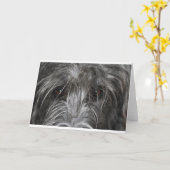 Ogen die betoveren kaart (Gele Bloem)