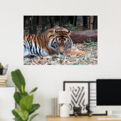 Ogen van de tijger poster (Thuiskantoor)