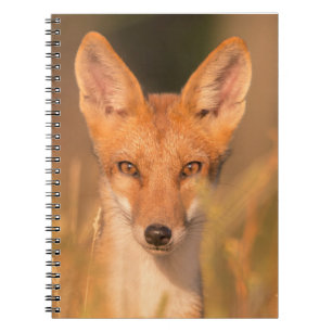 Ogen van de Wilde Rode Vos Natuurfotografie Notitieboek