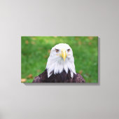Ogen van een adelaar canvas afdruk (Voorkant)