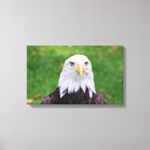 Ogen van een adelaar canvas afdruk