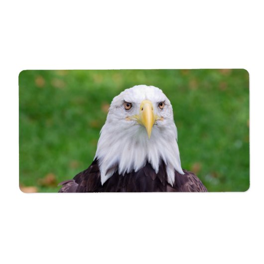 Ogen van een adelaar etiket (Voorkant)