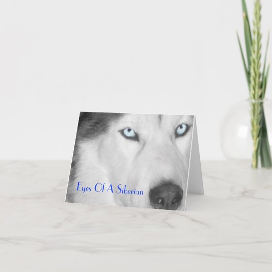 Ogen van een Siberische II (B/W) Kaart (Voorkant)