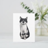 Ogie de kat briefkaart (Staand voorkant)