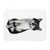 Ogie de kat magneet (Horizontaal)