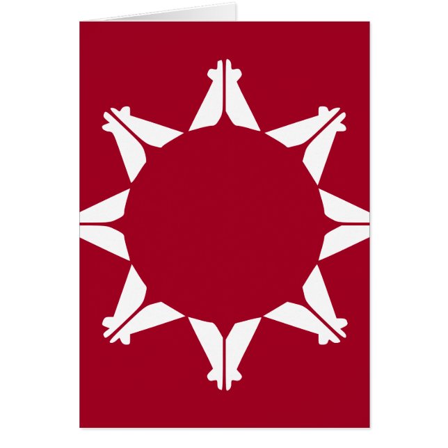 Oglala Lakota Sioux-vlag (Voorkant)