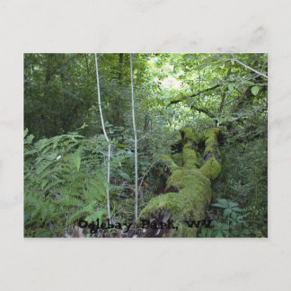 Oglebay Park, WV Briefkaart