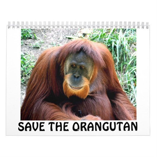 Ogoetan, BESPAAR DE ORANGUTAN Kalender (Hoes)