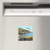 Ogunstop, Maine Magneet (Insitu (Vaatwasser))