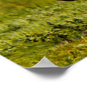 OH-58D KIOWA POSTER (Hoek)