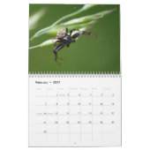 Oh !, araignées ! Calendrier (Feb 2027)