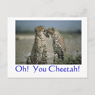 Oh! Cheetah. Briefkaart