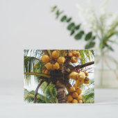 Oh Coconuts Briefkaart (Staand voorkant)