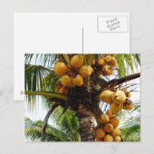 Oh Coconuts Briefkaart (Voorkant / Achterkant)