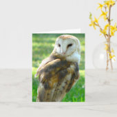 Oh de Spatie van de Uil Kaart (Gele Bloem)