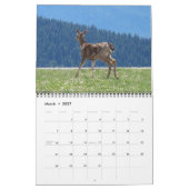 Oh, Deer ! Calendrier 2026 sur 12 mois (Mar 2027)