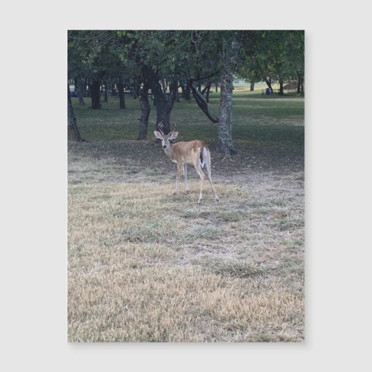 Oh Deer Magnet (Devant)